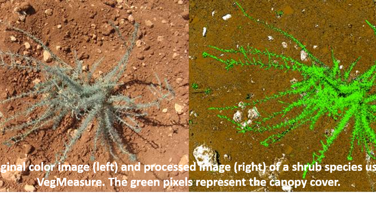 Measuring Rangeland Degradation For Greater Resilience | ICARDA